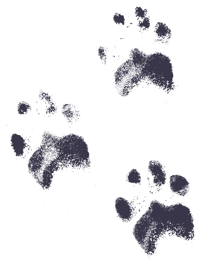 Bru's real paw prints in ink